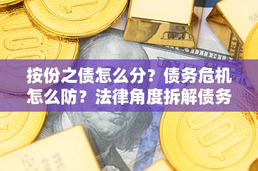 武汉按份之债怎么分？债务危机怎么防？法律角度拆解债务分配与风险自保指南