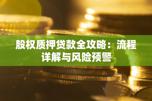 武汉股权质押贷款全攻略：流程详解与风险预警