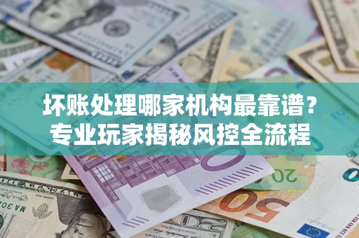 武汉坏账处理哪家机构最靠谱？专业玩家揭秘风控全流程