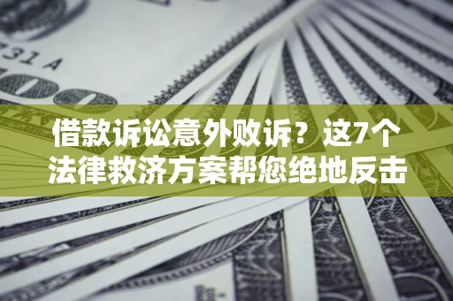 武汉借款诉讼意外败诉？这7个法律救济方案帮您绝地反击！