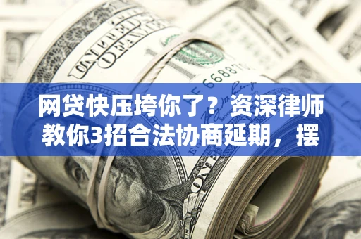 武汉网贷快压垮你了？资深律师教你3招合法协商延期，摆脱暴力催收！