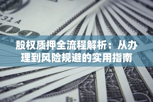 武汉股权质押全流程解析：从办理到风险规避的实用指南