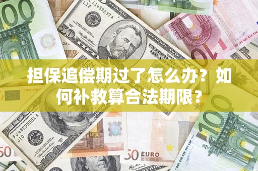武汉担保追偿期过了怎么办？如何补救算合法期限？