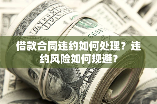 武汉借款合同违约如何处理？违约风险如何规避？