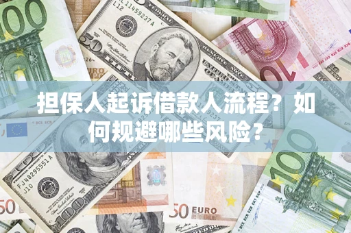 武汉担保人起诉借款人流程？如何规避哪些风险？