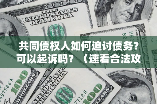 武汉共同债权人如何追讨债务？可以起诉吗？（速看合法攻略）