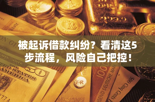 武汉被起诉借款纠纷？看清这5步流程，风险自己把控！