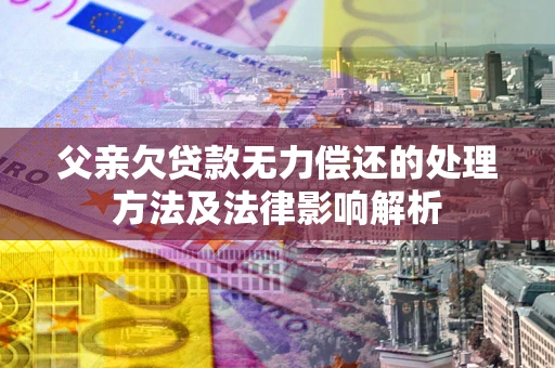 武汉父亲欠贷款无力偿还的处理方法及法律影响解析
